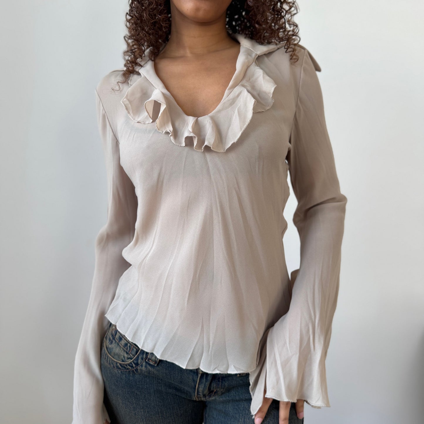 Vintage Italian Beige Sheer Mesh Ruffle Long Sleeve Top (Medium)