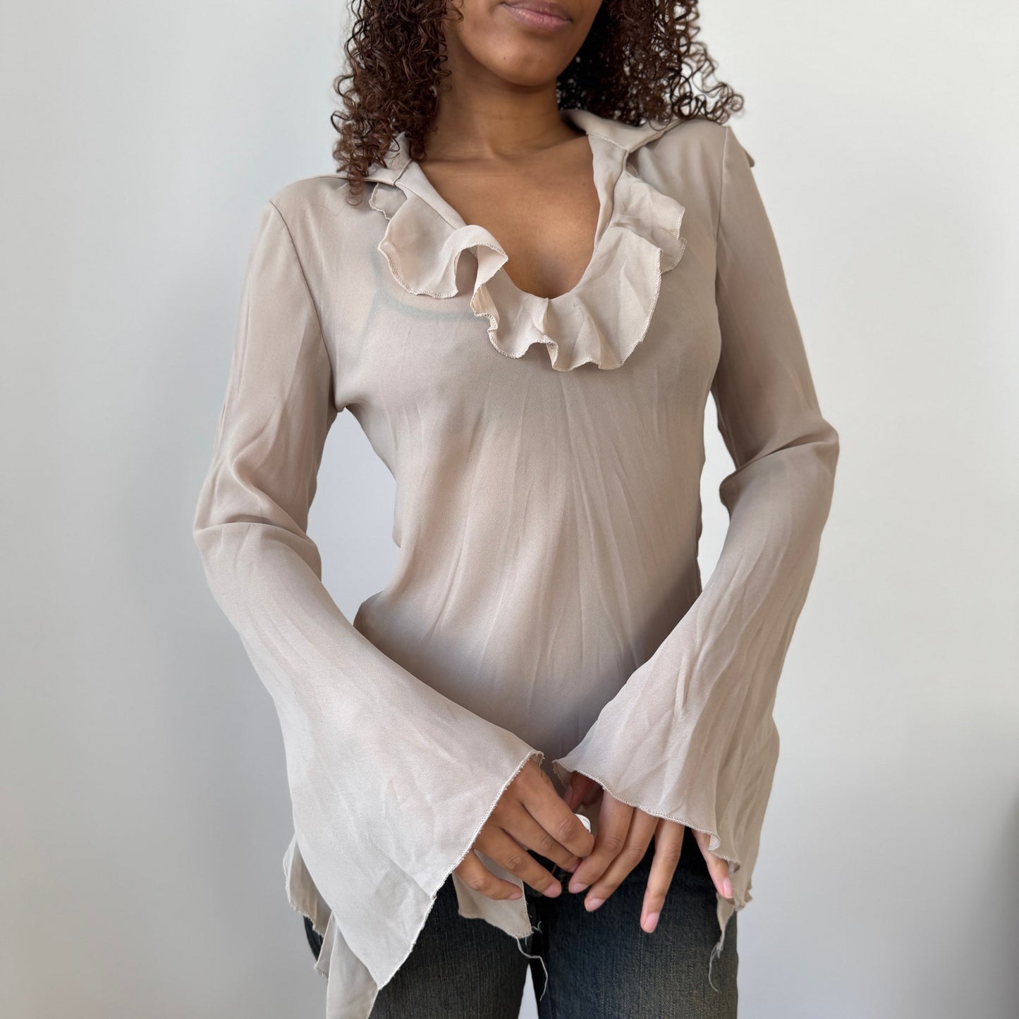 Vintage Italian Beige Sheer Mesh Ruffle Long Sleeve Top (Medium)
