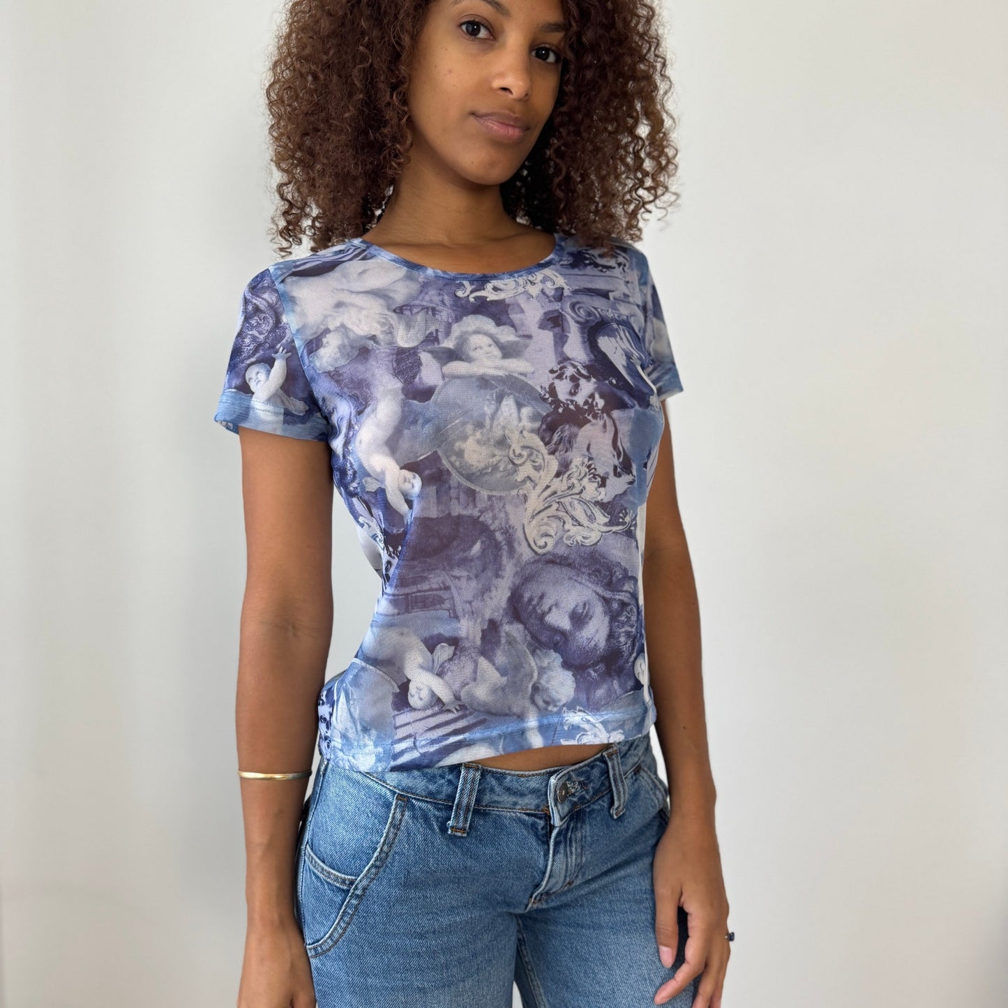 Italian Vintage Semi-Sheer Mesh Renaissance Print Baby Tee (Small/Medium)